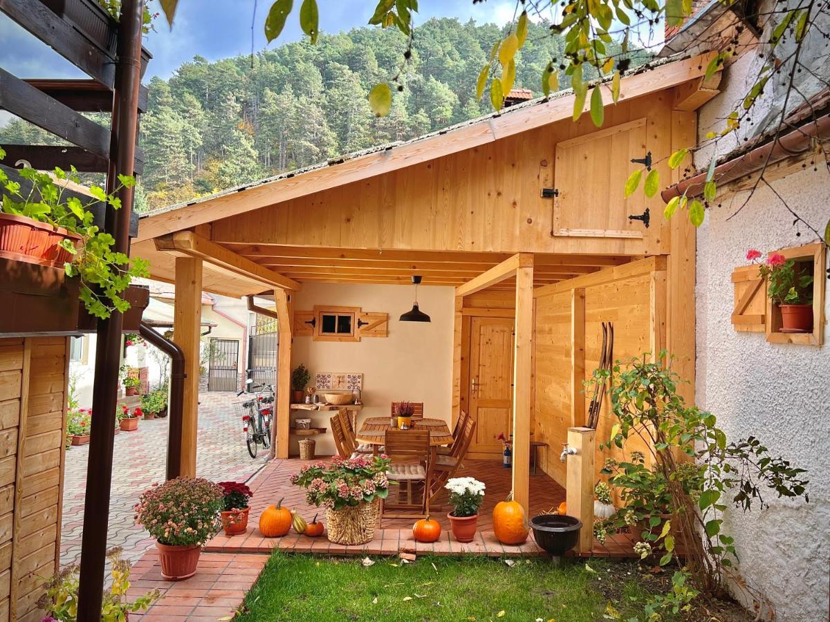 Victoria Gasthaus Rasnov - charming vacation house in Rasnov Exterior foto