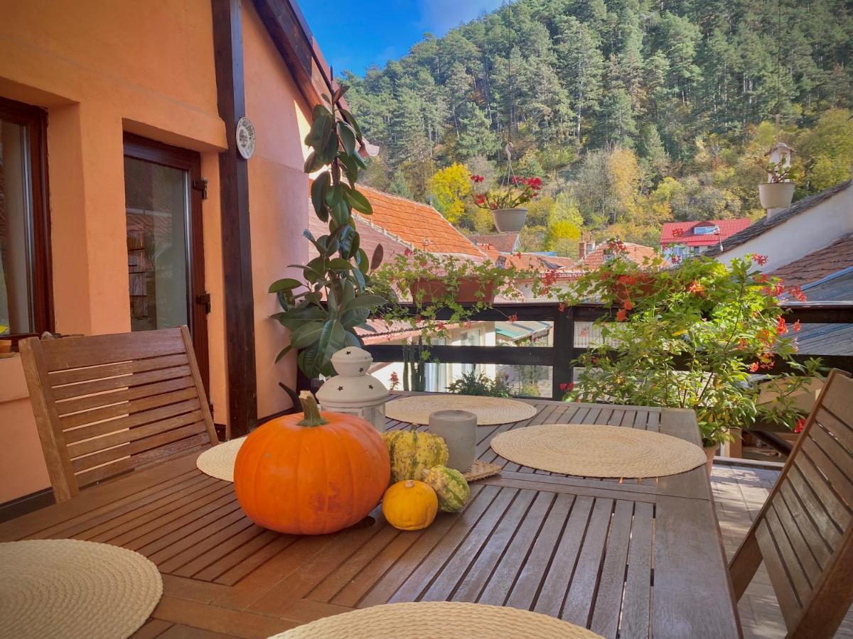 Victoria Gasthaus Rasnov - charming vacation house in Rasnov Exterior foto